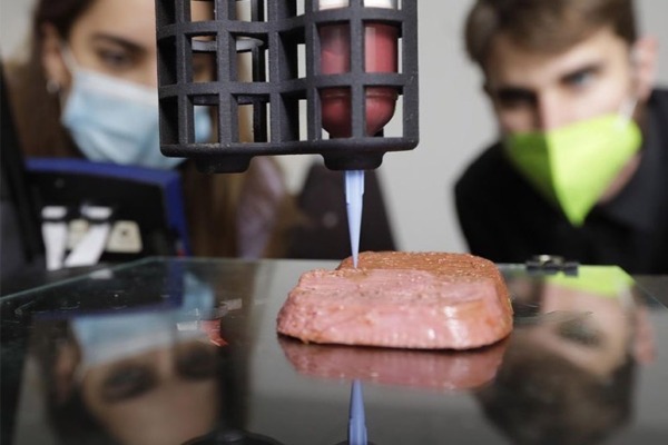 ¿La comida impresa en 3D sabe bien (carne)?  ¡Como funciona!