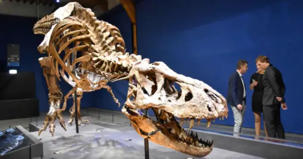 ¿Estás listo para construir un T. rex impreso en 3D con tu clase?